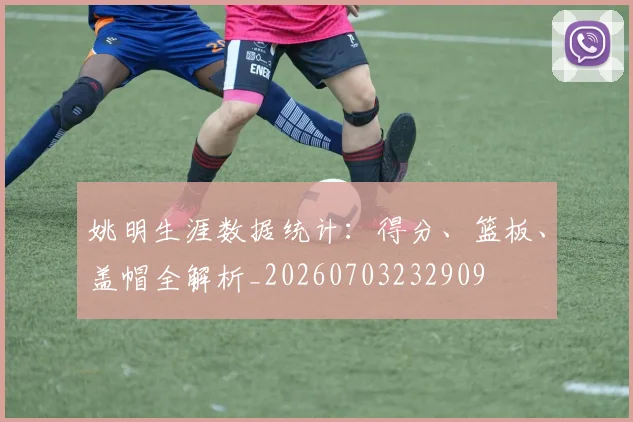 姚明生涯数据统计:得分、篮板、盖帽全解析_20260703232909