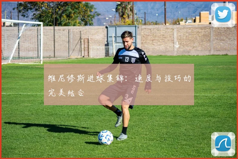 维尼修斯进球集锦:速度与技巧的完美结合