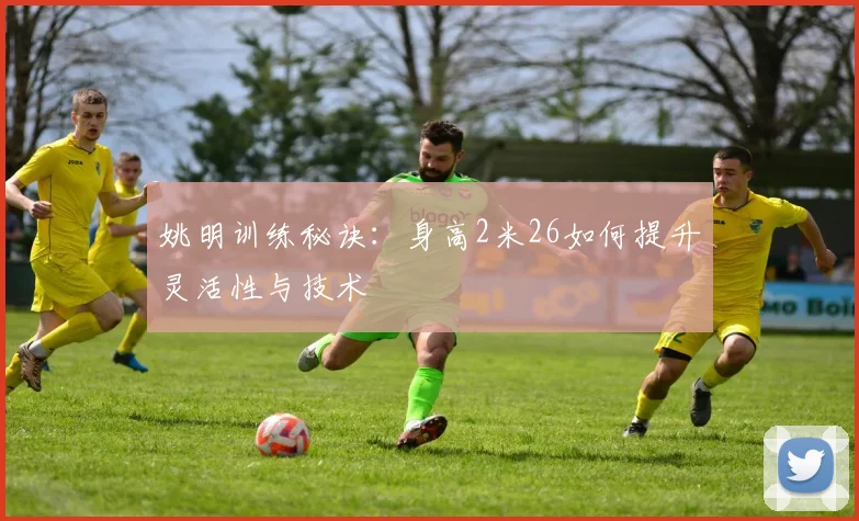姚明训练秘诀：身高2米26如何提升灵活性与技术