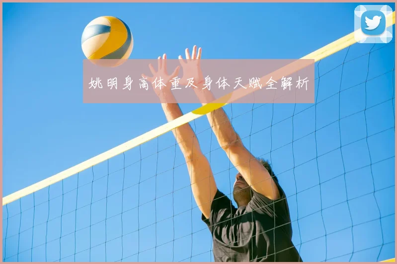 姚明身高体重及身体天赋全解析