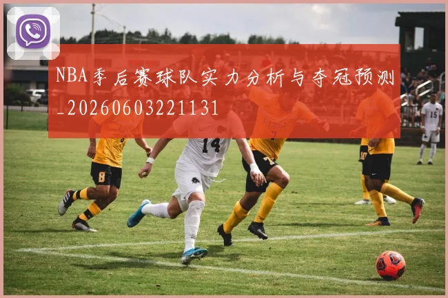 NBA季后赛球队实力分析与夺冠预测_20260603221131